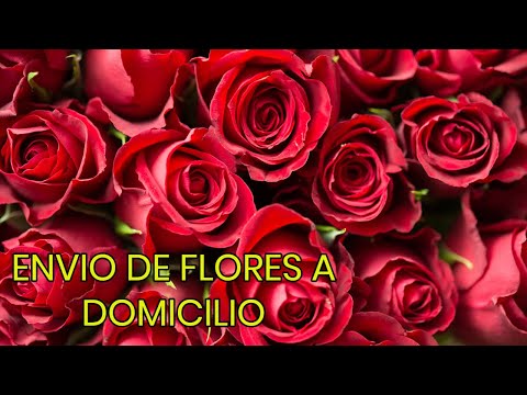 Las mejores opciones para enviar flores a domicilio en Murcia