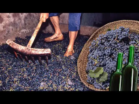 La importancia de una prensa de uvas para obtener un exquisito vino