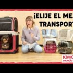 El mejor transporte para tu perro grande: cómo elegir el transportín ideal