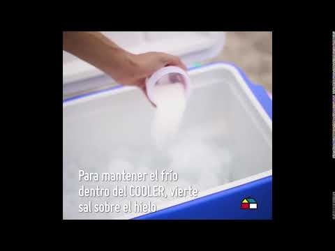 Frigorífico americano con dispensador de hielo: La combinación perfecta para mantener tus bebidas siempre frescas