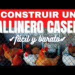 La versatilidad de la tela metálica de gallinero: una solución eficiente para tu criadero de aves