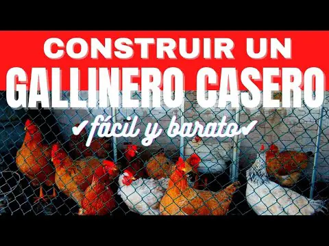 La versatilidad de la tela metálica de gallinero: una solución eficiente para tu criadero de aves