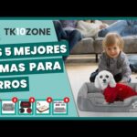 La comodidad y estilo se unen en las camas sofá para perros