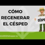 Encuentra excelentes opciones de escarificadores de césped de segunda mano en Neuttro