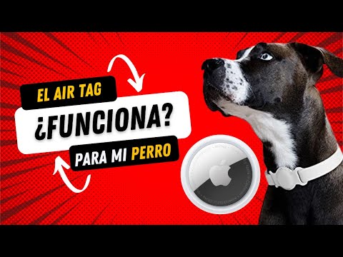 Encuentra a tu mascota en todo momento con un localizador GPS