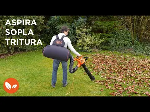 El mejor aliado para mantener tu jardín limpio: Soplador de hojas eléctrico