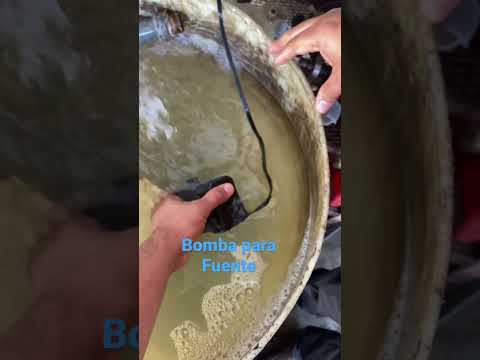 Renueva tu fuente con una eficiente bomba de agua