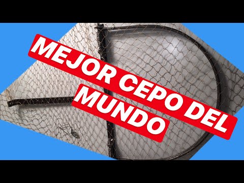 Los mejores cepos para cazar pájaros: una guía completa