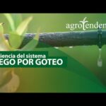 Gomas de goteo: la solución perfecta para un riego eficiente