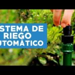 Optimiza el riego de tu jardín con una bomba de gasolina