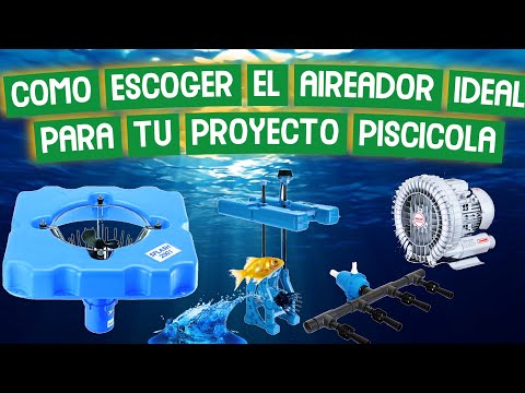 Las mejores bombas para estanques de peces: todo lo que necesitas saber