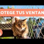 La importancia de una red de protección para gatos en tu hogar