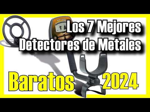 Encuentra el precio perfecto para un detector de metales