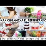 Organiza y conserva tus alimentos con estilo: congelador pequeño con cajones