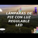 La elegancia y versatilidad de las lámparas de pie con luz regulable