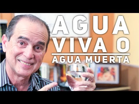 La importancia del baño de agua en el laboratorio: todo lo que necesitas saber