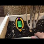 Optimiza el riego de tus plantas con los medidores de humedad del suelo