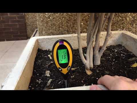 Optimiza el riego de tus plantas con los medidores de humedad del suelo