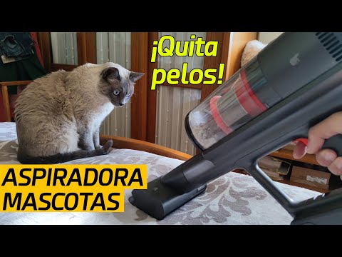 Elimina fácilmente los pelos de tu perro con esta potente aspiradora