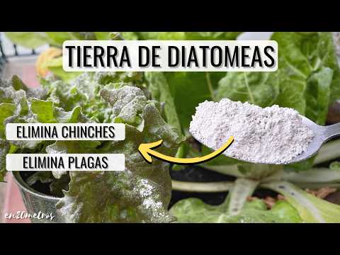 Beneficios y aplicaciones de la tierra de diatomeas micronizada: una solución natural para tu hogar y jardín