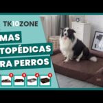 Beneficios y cuidados de la cama ortopédica para perros