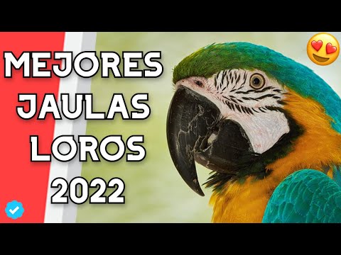 Las mejores opciones económicas en jaulas para loros grandes