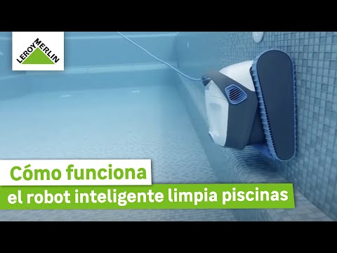 El limpiafondos eléctrico Dolphin Seamaster Plus: la solución eficiente para mantener tu piscina impecable