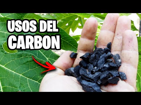 Beneficios del uso de carbón activado en el cultivo de plantas