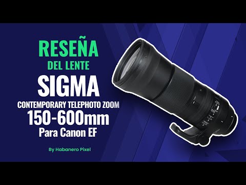 Análisis completo del objetivo Sigma 150-600mm para cámaras Canon