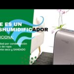 Deshumidificador Cecotec Big Dry 9000: La solución perfecta para combatir la humedad en tu hogar