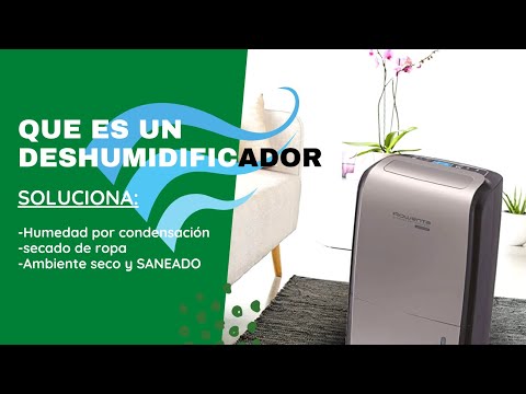 Deshumidificador Cecotec Big Dry 9000: La solución perfecta para combatir la humedad en tu hogar