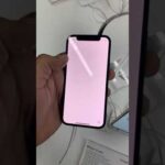 Los impresionantes colores del iPhone 12 Mini: una paleta vibrante y elegante.