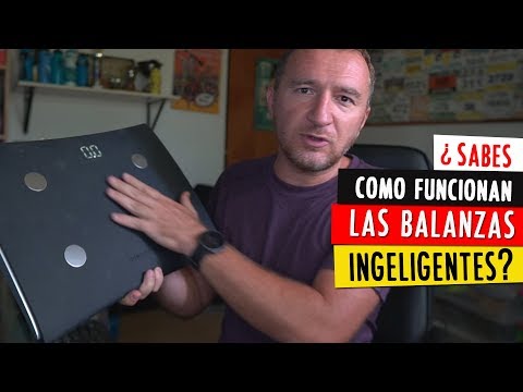 Las ventajas de utilizar una báscula digital de cocina