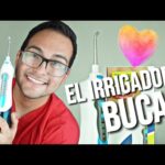 El poder del Oral B Cepillo Irrigador: Cuida y protege tu salud bucal