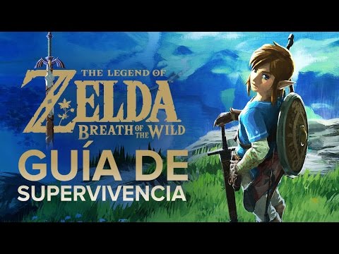 La guía definitiva para adquirir Breath of the Wild