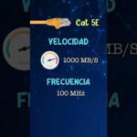 Todo lo que debes saber sobre el cable de red Cat 7