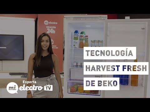 Todo lo que necesitas saber sobre el frigorífico Beko de 70 cm