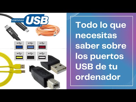 Todo lo que necesitas saber sobre los puertos USB para tu PC