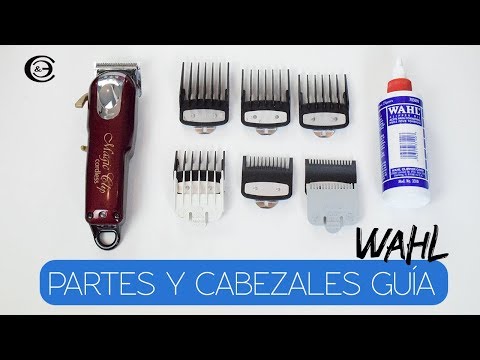 Todo lo que necesitas saber sobre las máquinas de cortar pelo Clipper