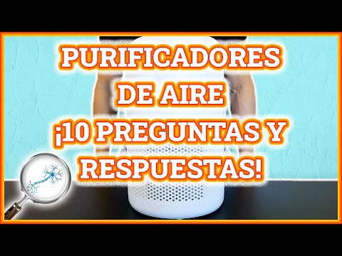 Deshumidificador, purificador e ionizador: mejora la calidad del aire en tu hogar