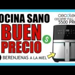 La freidora Cecofry Full Inox 5500 Pro: la mejor opción para disfrutar de alimentos crujientes y saludables