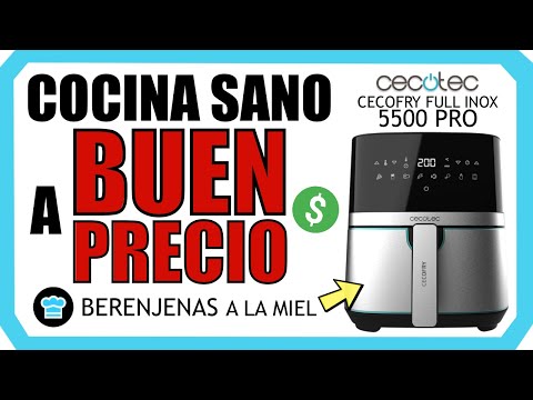 La freidora Cecofry Full Inox 5500 Pro: la mejor opción para disfrutar de alimentos crujientes y saludables